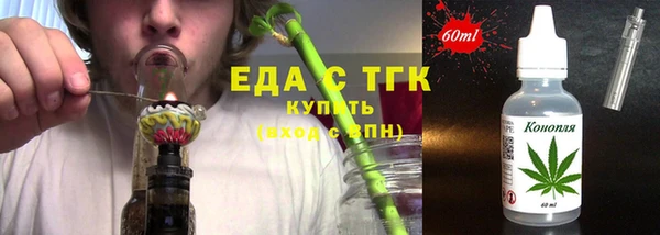 индика Верхний Тагил