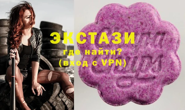 индика Верхний Тагил