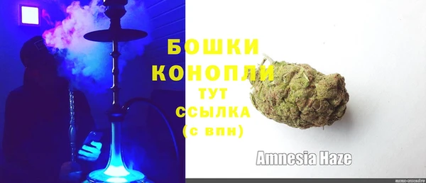 индика Верхний Тагил