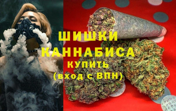 индика Верхний Тагил