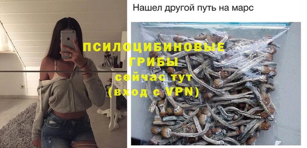 сатива Волосово