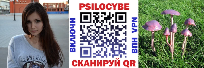 Галлюциногенные грибы Psilocybe  Воркута 